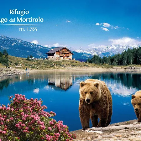 Rifugio Al Del Mortirolo In Inverno Raggiungibile Solo A Piedi *