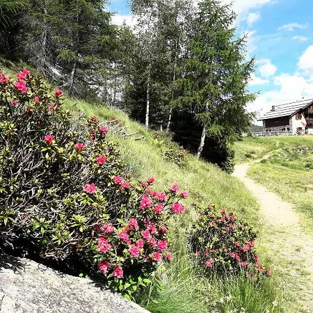 Rifugio Al Del Mortirolo In Inverno Raggiungibile Solo A Piedi Feriegård *
